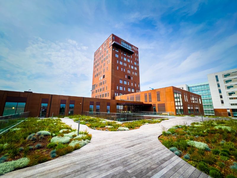 Aarhus University Hospital (Photo: Tonny Foghmar)
